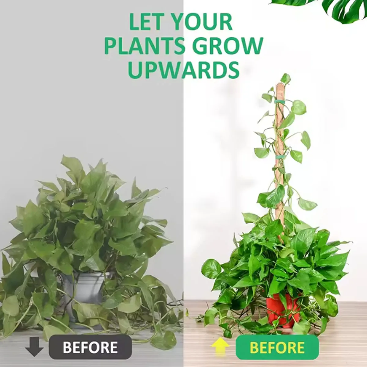 

Deformable Plant Scaffold Useful Things for Garden Accsesories Plants Accessories Outdoor Decor Stand Indoor Support Tutors Home