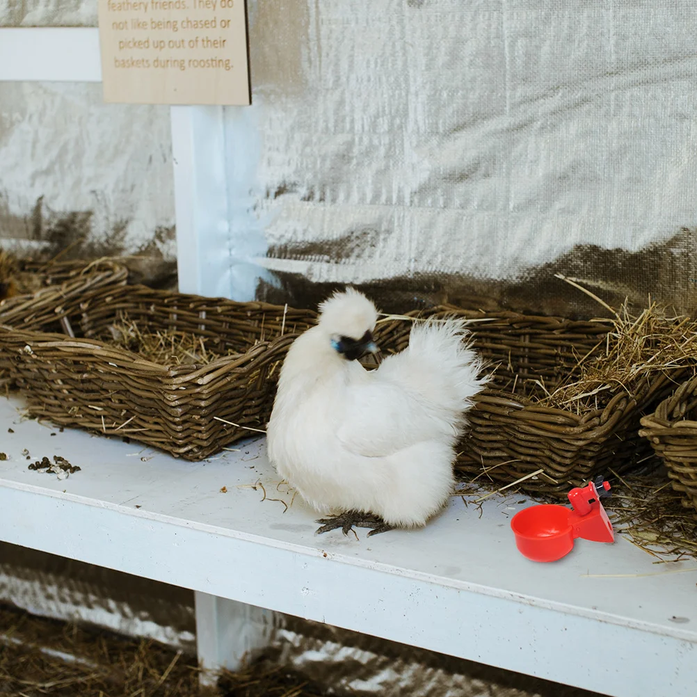 

2Pcs Plastic Poultry Water Bowl Practical Durable Design Poultry Water Dispenser Container Tool for Chicken Quail