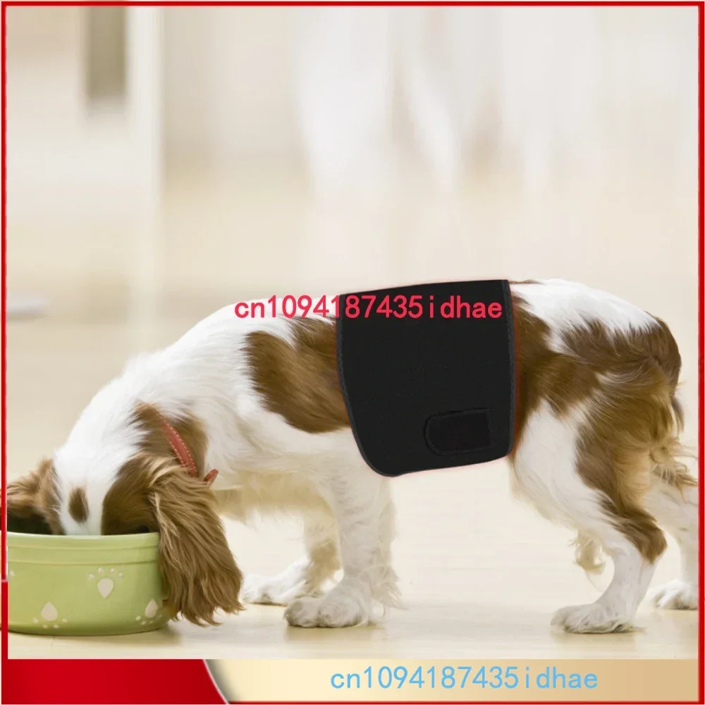 Harga Sabuk Terapi LED Terapi Cahaya Tingkat Rendah SGROW 660nm 850nm untuk Sakit Punggung