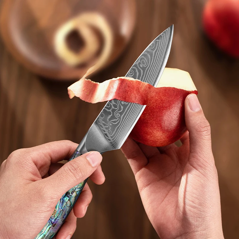 3.5 icnh Paring Knife Japanese Carbon Steel Damascus Knife Kitchen Sharp Vegetable peeler Knife Chef Knife Abalone shell Handle