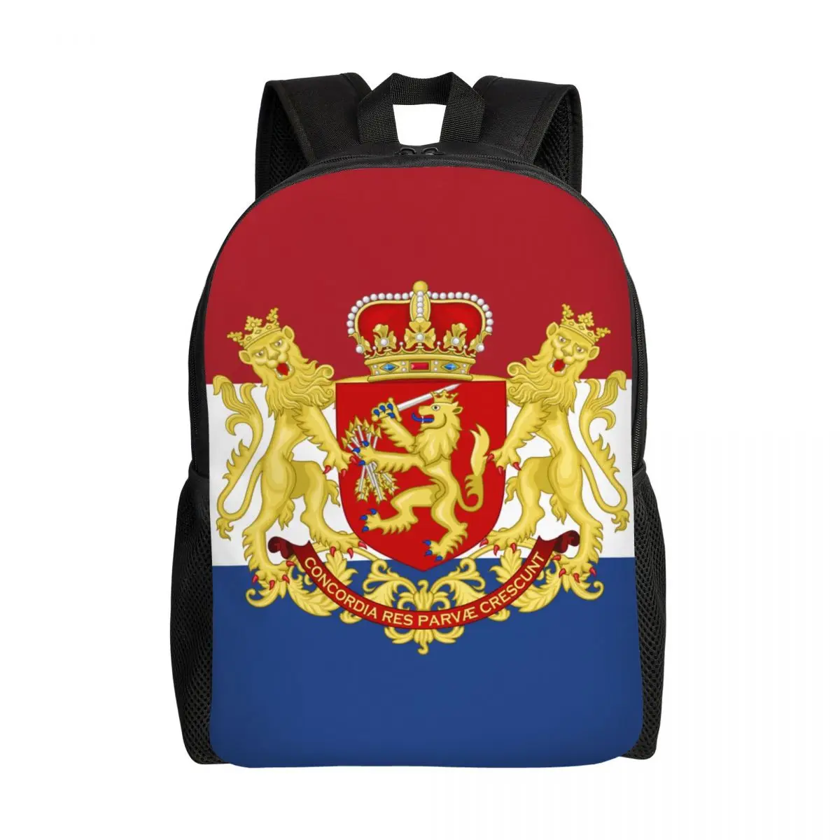 Holland Amsterdam Flag zaino per Laptop uomo donna Casual Bookbag per studente universitario paesi bassi zaino da viaggio di grande capacità