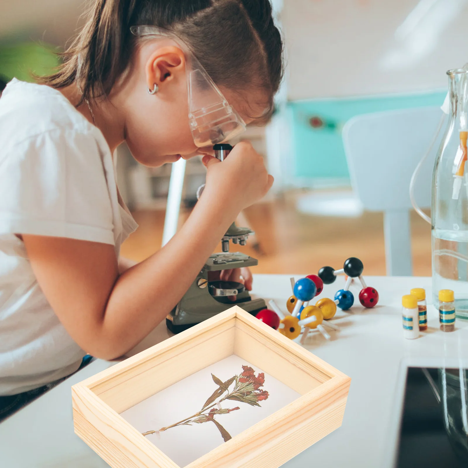 

Insect Display Box Specimen Case Entomology Cage Bioexperiment Equipment Durable Transparent Storage For Jewelry Coins Crafts