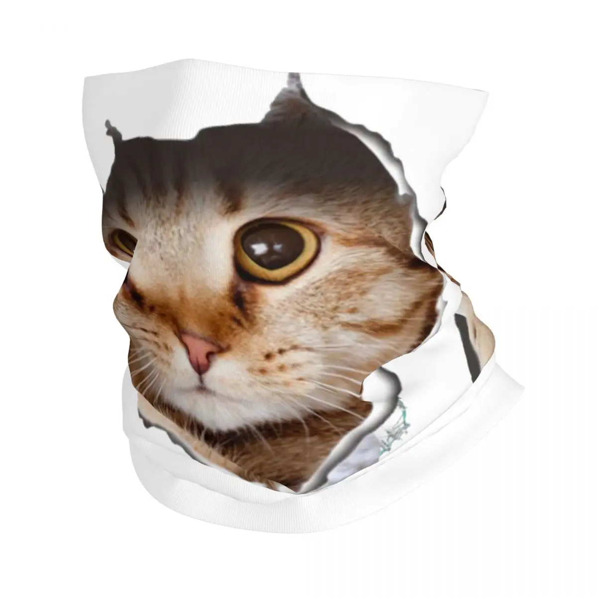 

Бандана на заказ с милым котом, теплый шарф для женщин и мужчин, зимний лыжный походный шарф, гетры, чехол для лица