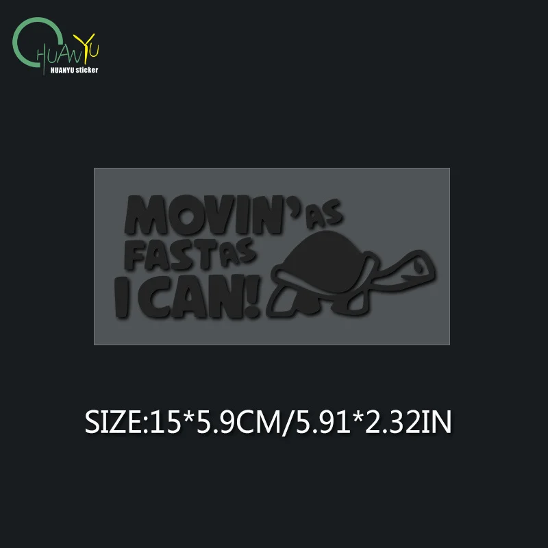 Funny Turtle Vinyl Stickers 