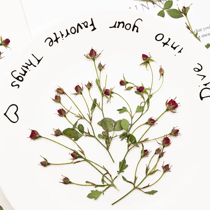 12pcs,Dried Rose Multi Bud Bra - Resin Art With Rose review and price