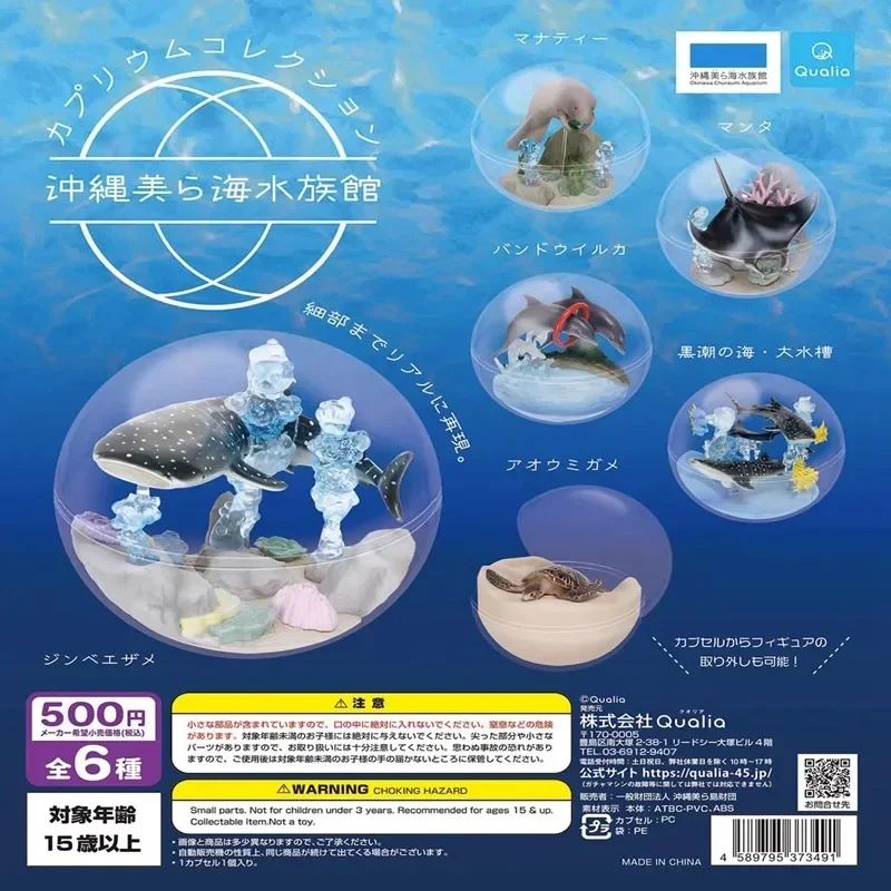 

QUALIA Kawaii Gashapon Figure Cute Okinawa Mikai Aquarium Marine Animal Whale Sea Turtle Capsule Toys Anime Figurine Gift