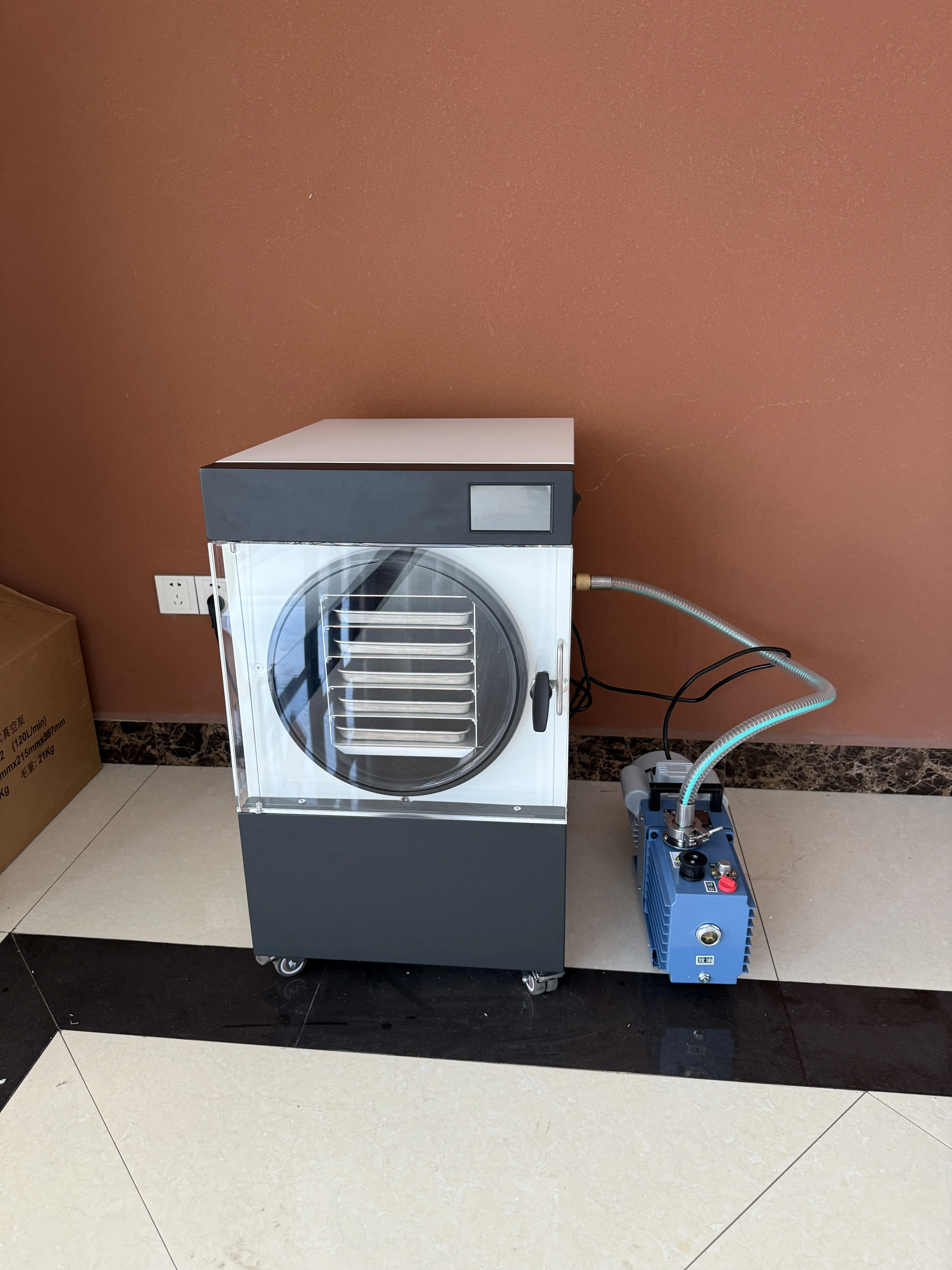 Freeze Dried Food Vacuum Lyophilizer Mini Fruit Vegetable Home Freeze Dryer Machine Price Freeze Dryer Machine