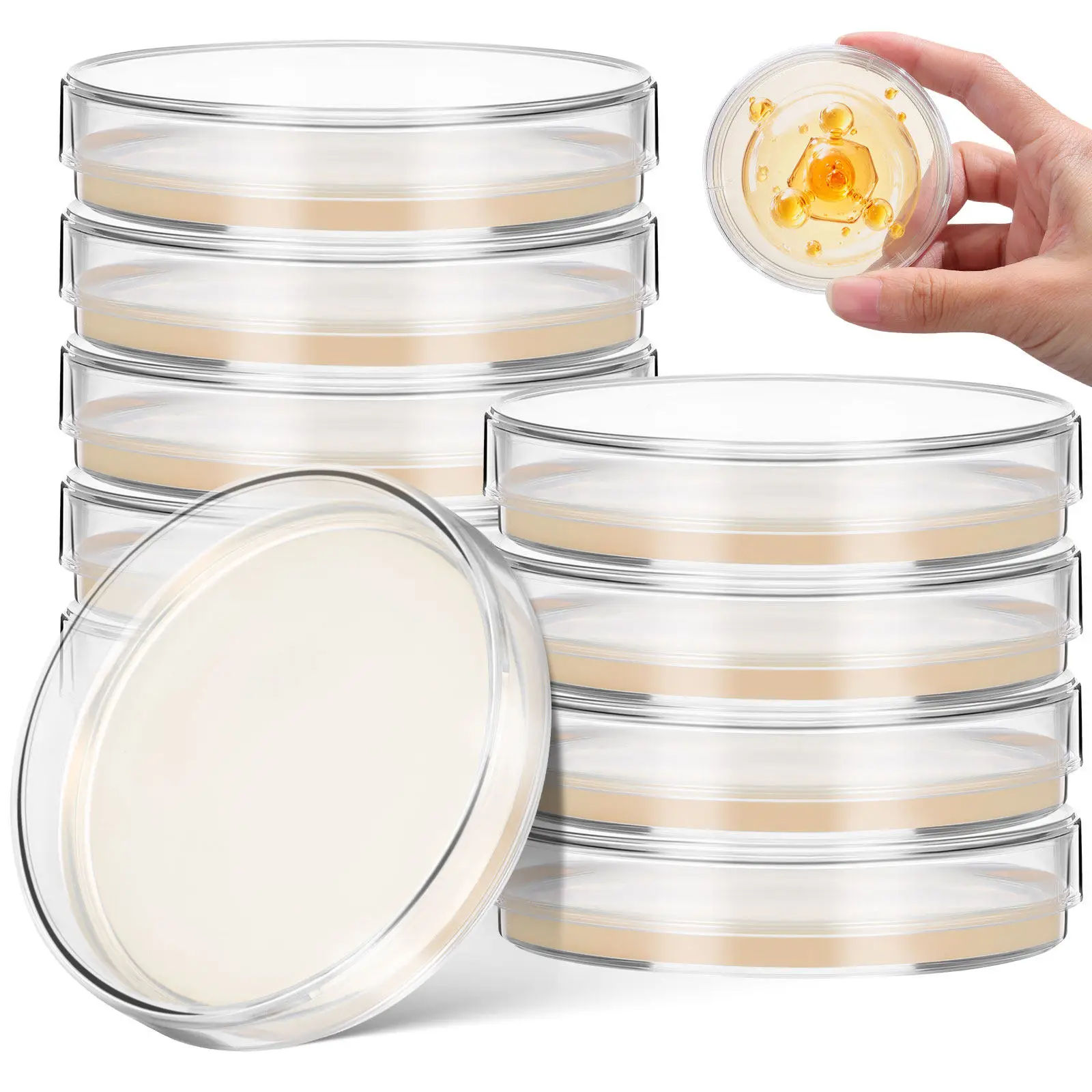 10pcs Nutrient Agar Plates 7Cm Pre-Poured Petri Dishes Science Experiment Supplies Laboratory Equipment Stem Education Tool