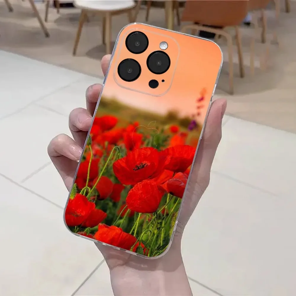 Poppy Flower Bloom  Phone Case For iPhone 15,14,13,12,11 Plus,Pro,Max,XR,XS,X,7,8 Plus,SE,Mini Transparent Soft Cover