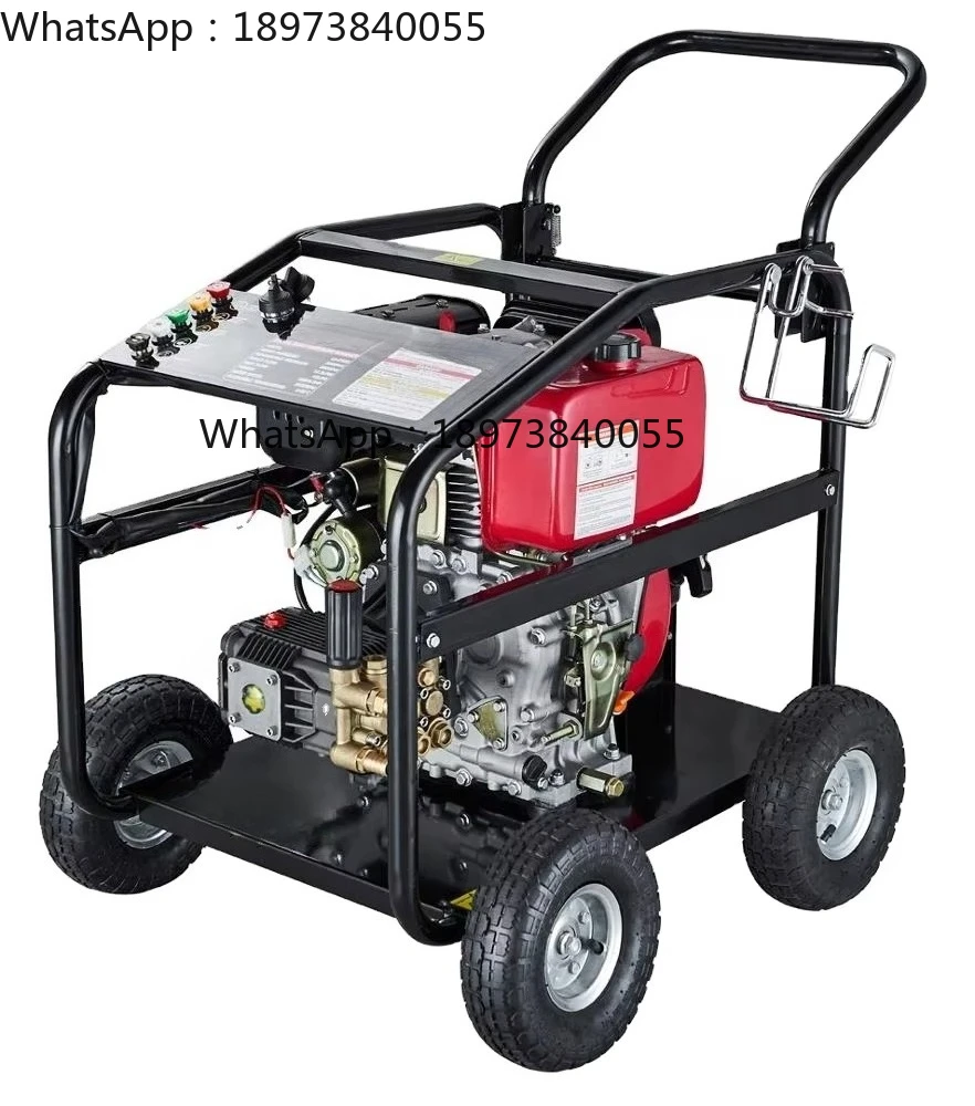 Bison(Kp) Strong Fr…