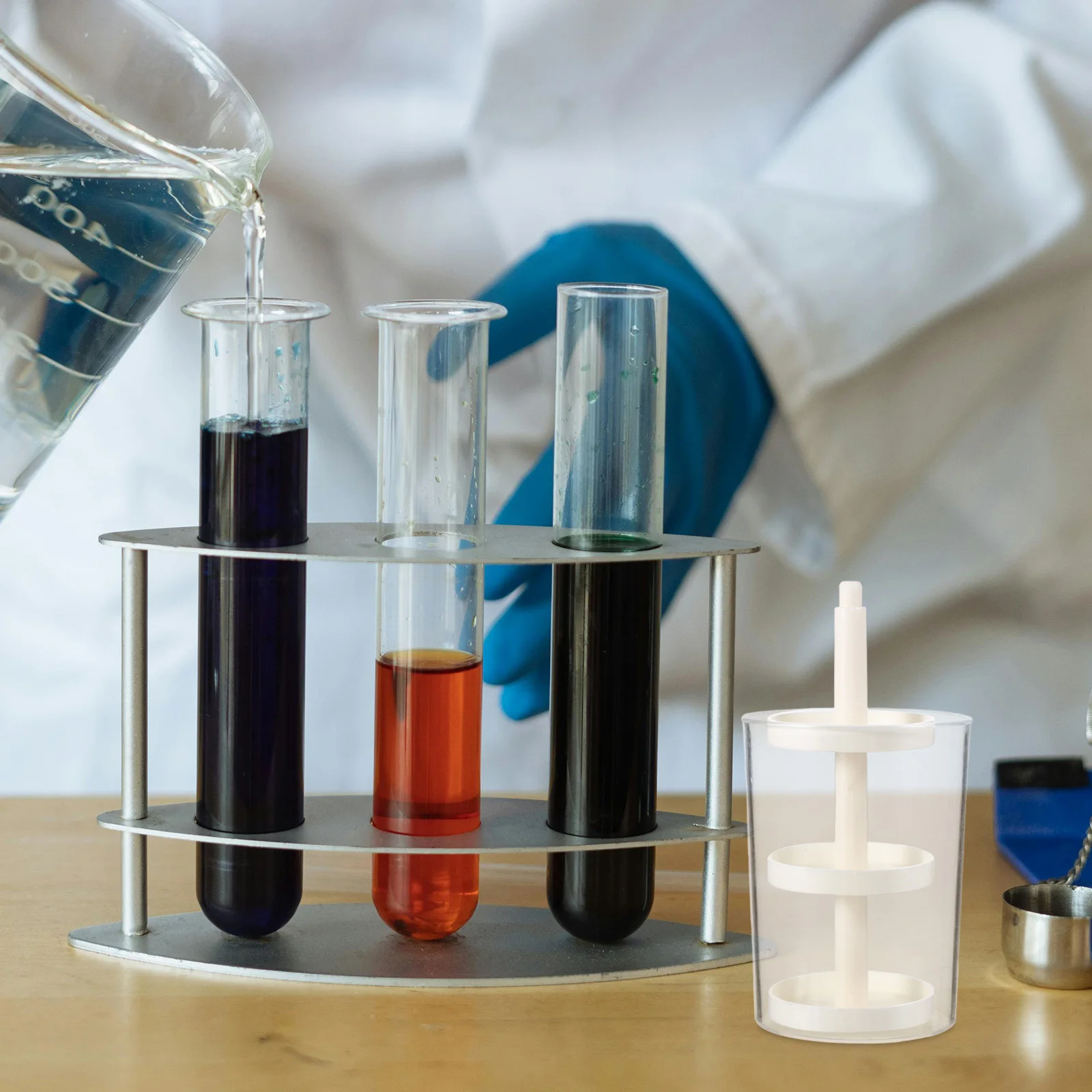 Strumento didattico per la piantagione scientifica con tazze di coltivazione trasparenti per l'esperimento degli studenti, pratico per la biologia