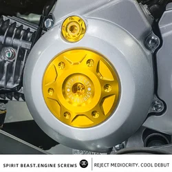 Spirit Beast Motorcycle Engine Screw Cover Hole Left Side Engine Magnetic Cover Crankcase Screw Cover for Honda Cross Cub