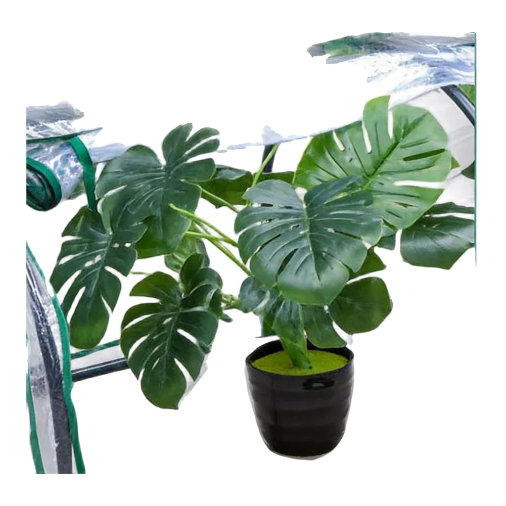 Warm And Cold for proof Greenhouse for growbox for weather-resistant 120*60*50 Cm for succulent Cover Spacious Design 120*60*50