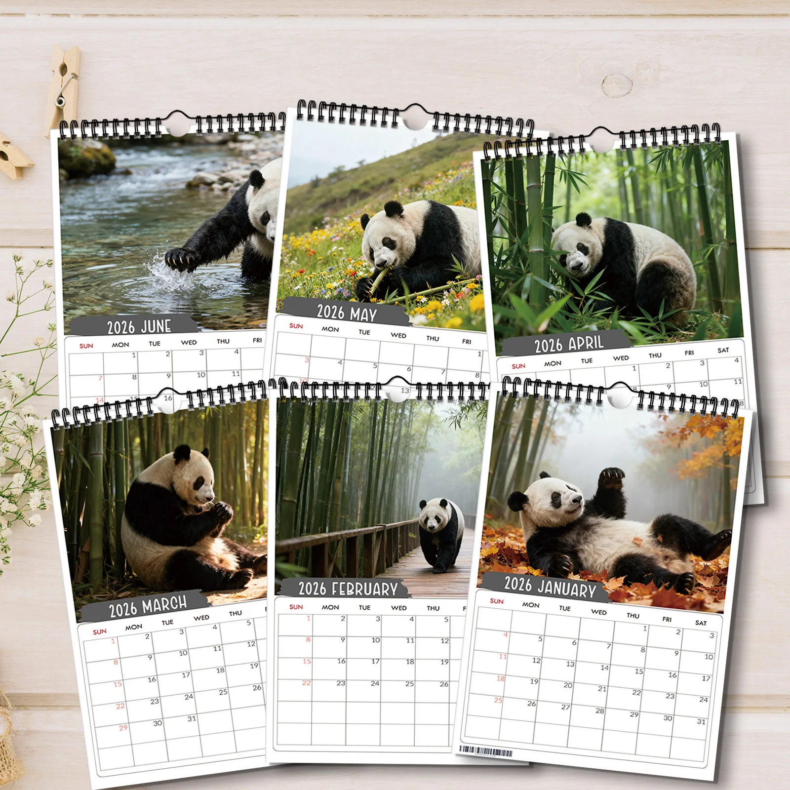 ปฏิทินแพนด้าป่าไผ่ที่มีเสน่ห์ 1 ชิ้น เหมาะสำหรับตกแต่งบ้าน เหมาะสำหรับคนรักสัตว์ป่า ของขวัญปีใหม่ที่ดี