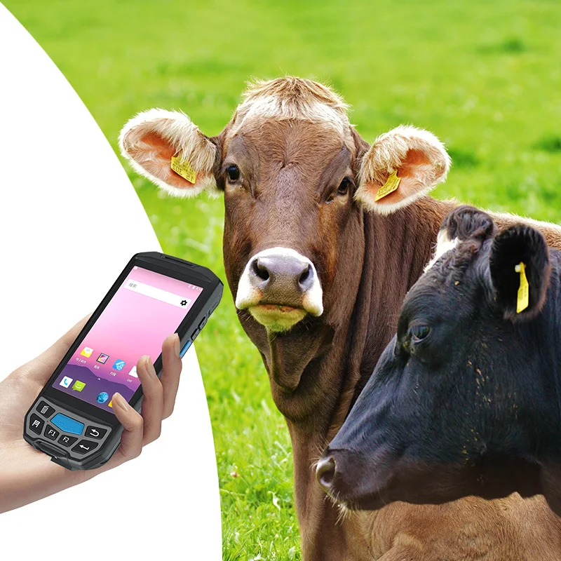 Android 8.1 FDX-B HDX 134.2kHz RFID Czytnik/Scanner znaczków na uszy dla zwierząt, PDA do zarządzania danymi o hodowli bydła, owiec, kóz i gospodarstw mlecznych.