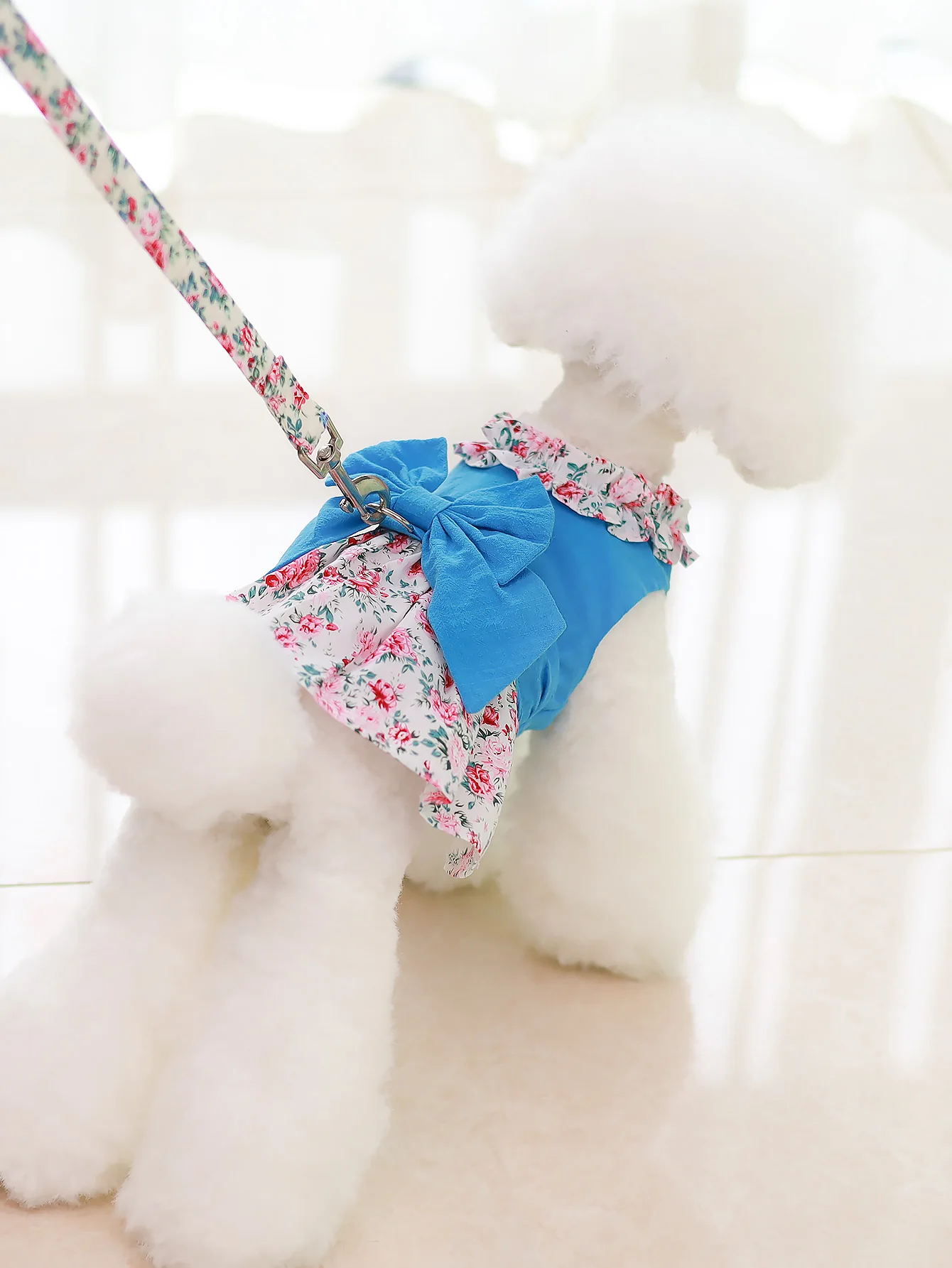 With matching towing rope pet dress, dog clothes thin spring and summer princess skirts, Pomeranian Yorkshire bichon pet wear