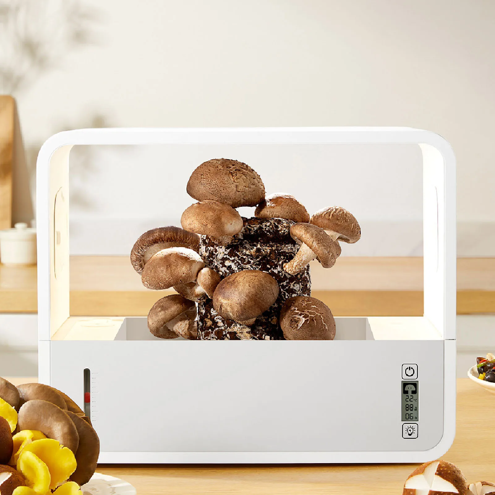 Mushroom Growing Tent Kit Mushroom Growing Tent Smart Soilless Transparent Viewing Automatic LED Lighting Still Air Mushroom Box