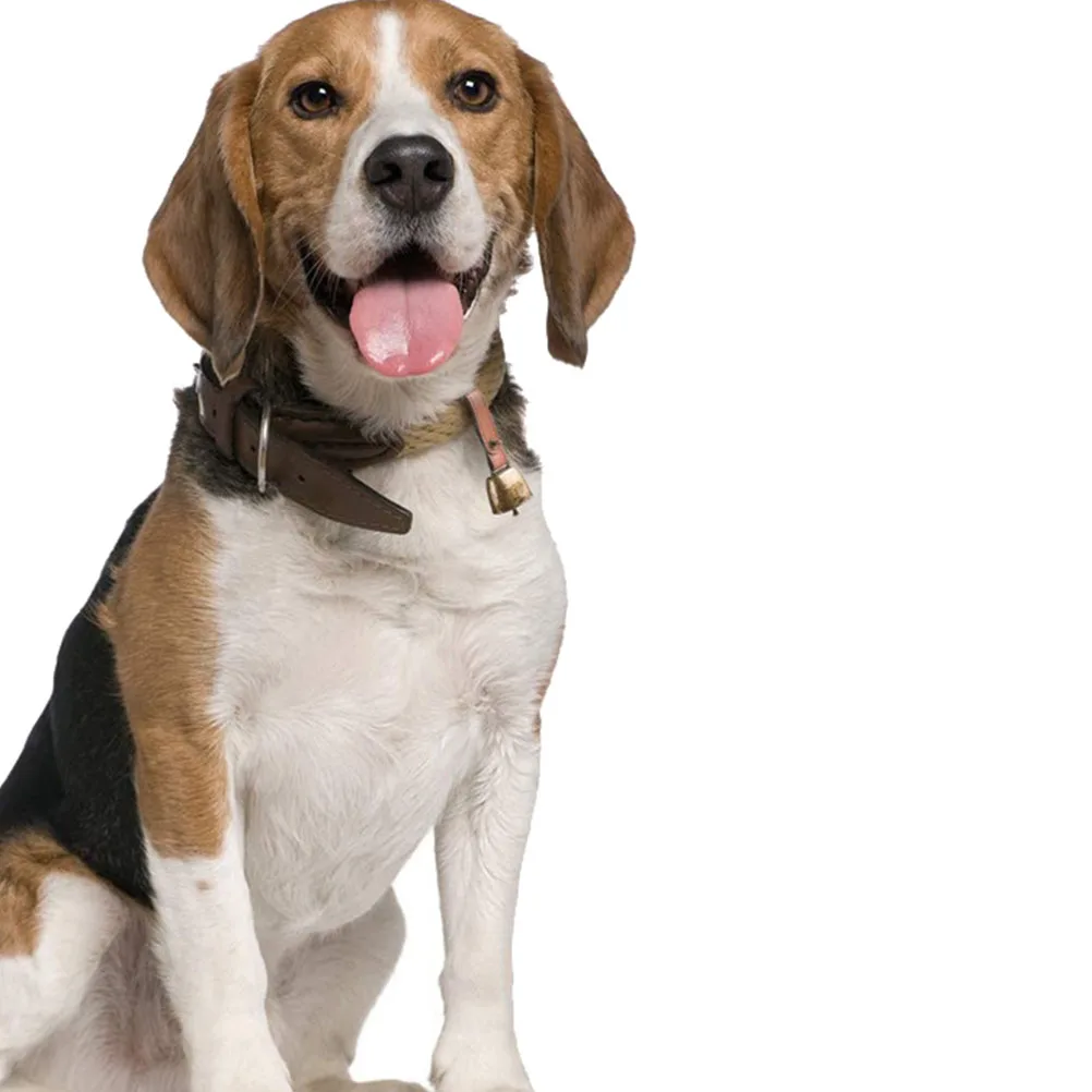 

Iron Pet Collar Bell Small Decorative Training Bell for Dog Sheep Cattle Lightweight Durable Bells for Dog Collars