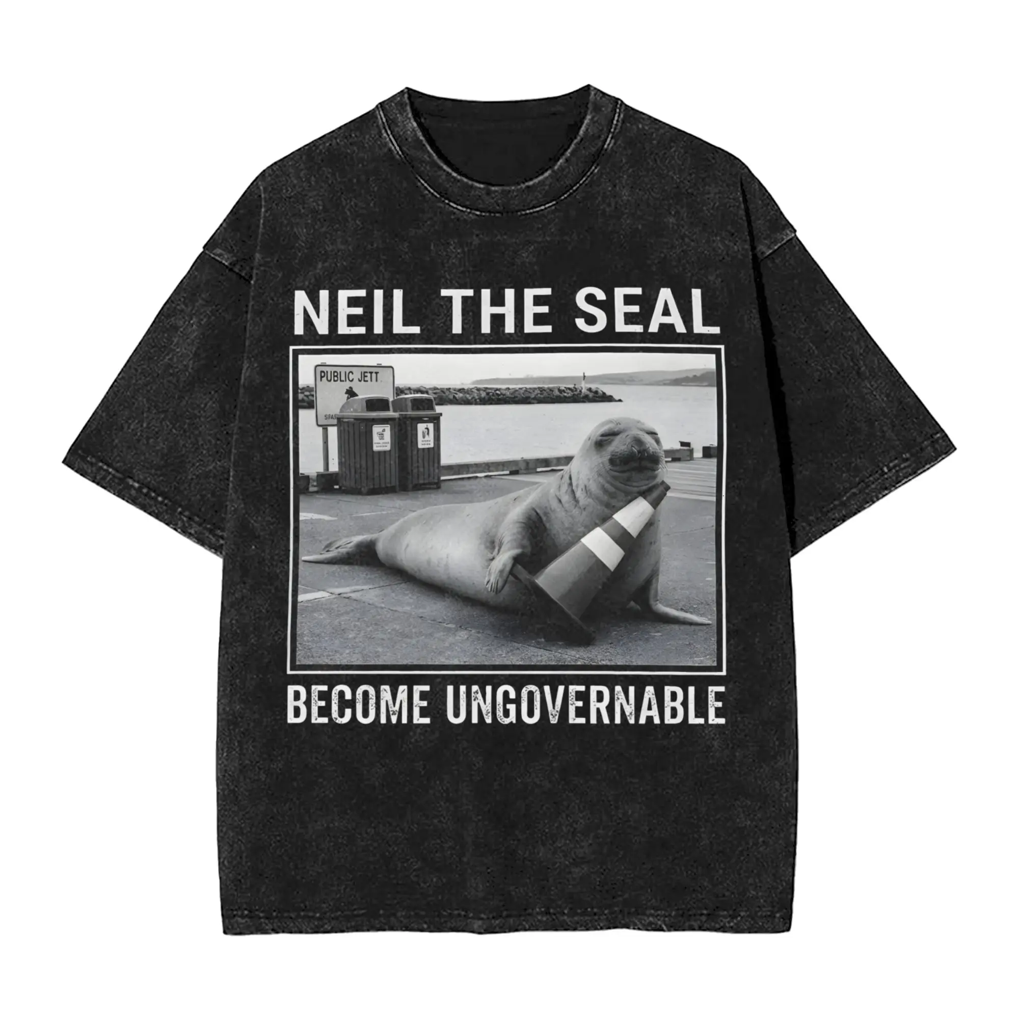 Neil the Seal  Washed T-Shirt Men  Y2K Fun Cotton T-Shirts Summer O Neck Hip Hop Tees Print Plus Size Clothing
