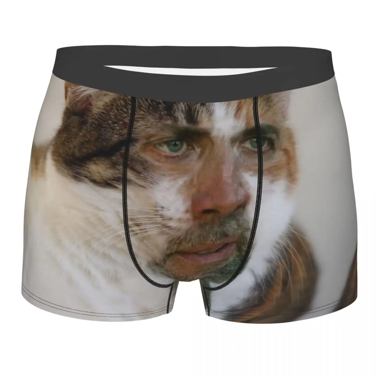 Nicholas Cage Cat Meme Boxer Shorts For Homme 3D Printed Underwear Panties Briefs Stretch Underpants