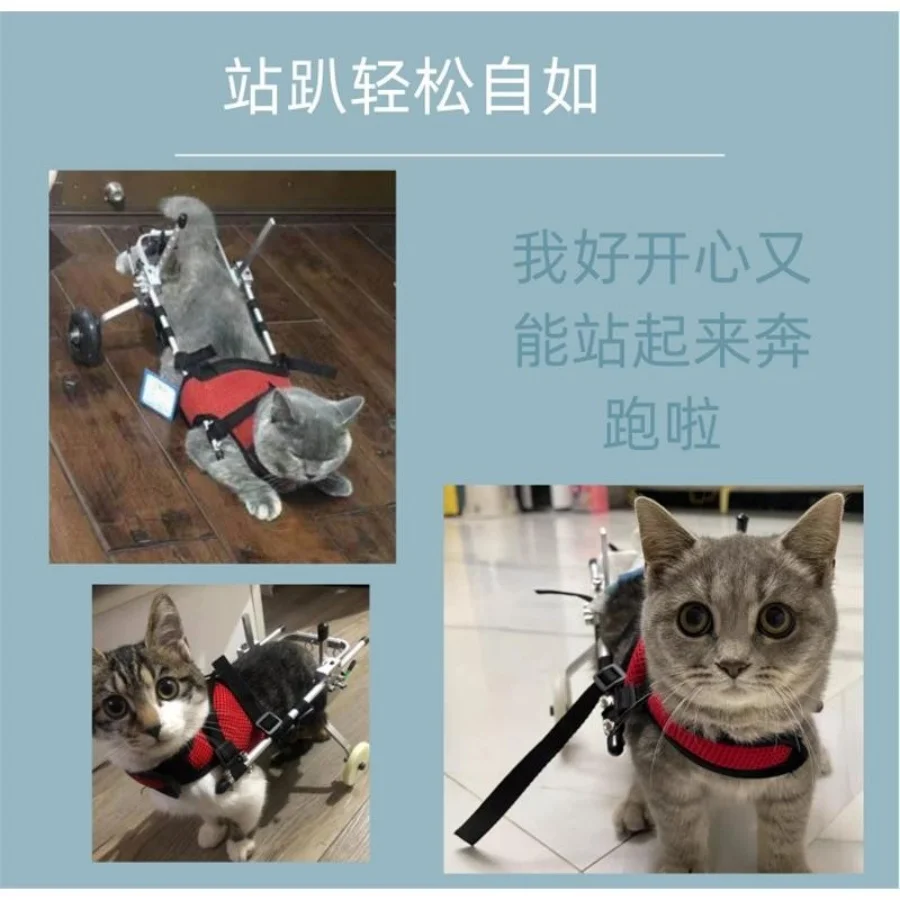Kat Rolstoel Verlamming Breuk Huisdier Achterbeen Wervelkolomblessure Revalidatie Training Auto Achterlimb Handicap Walker