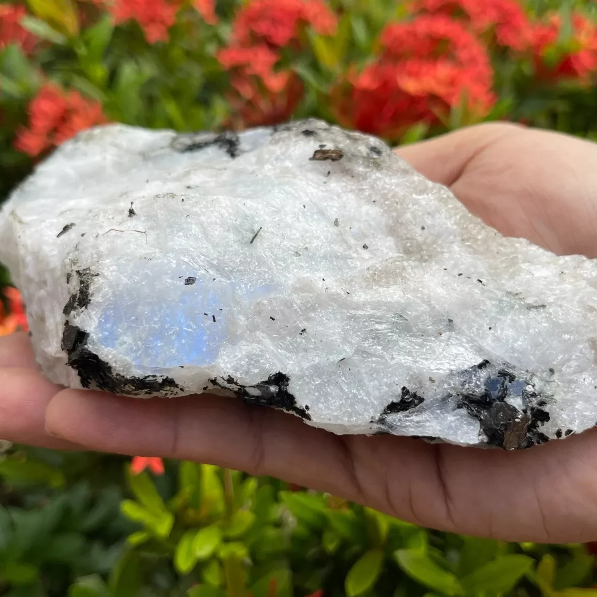 Natural Formed!Rainbow Moonstone Raw Stone, Rough Quartz Crystal Rainbow Moonstone Ore, Mineral, Reiki, Healing