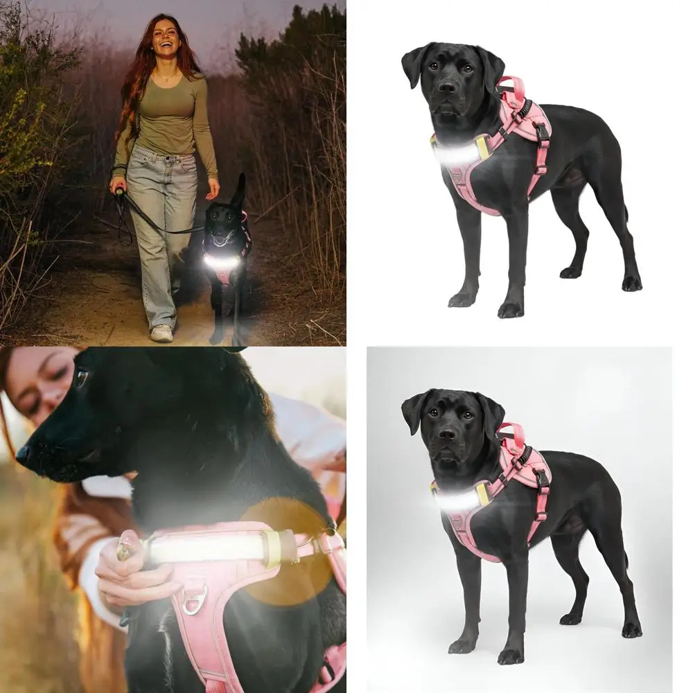 

Illuminated LED Dog Harness for Enhanced Night Safety - 1000 Lumen, Rechargeable, Adjustable, Reflective Pink Vest (Large)