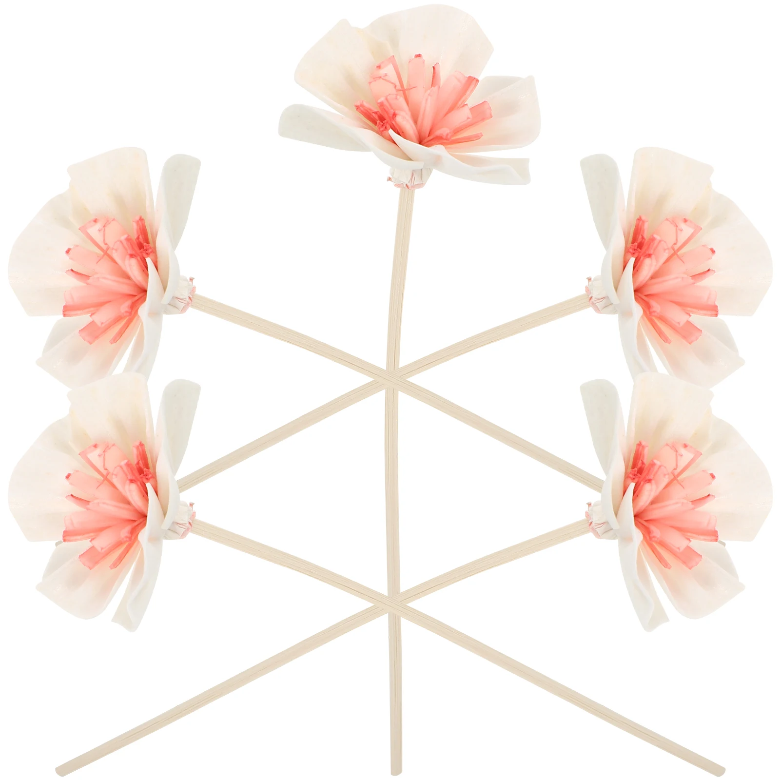 

5 Pcs Diffuser Sticks Essential Oil Flowers Dried Aromatherapy Vase Arrangement Suite Fine Craftsmanship Safe Materials