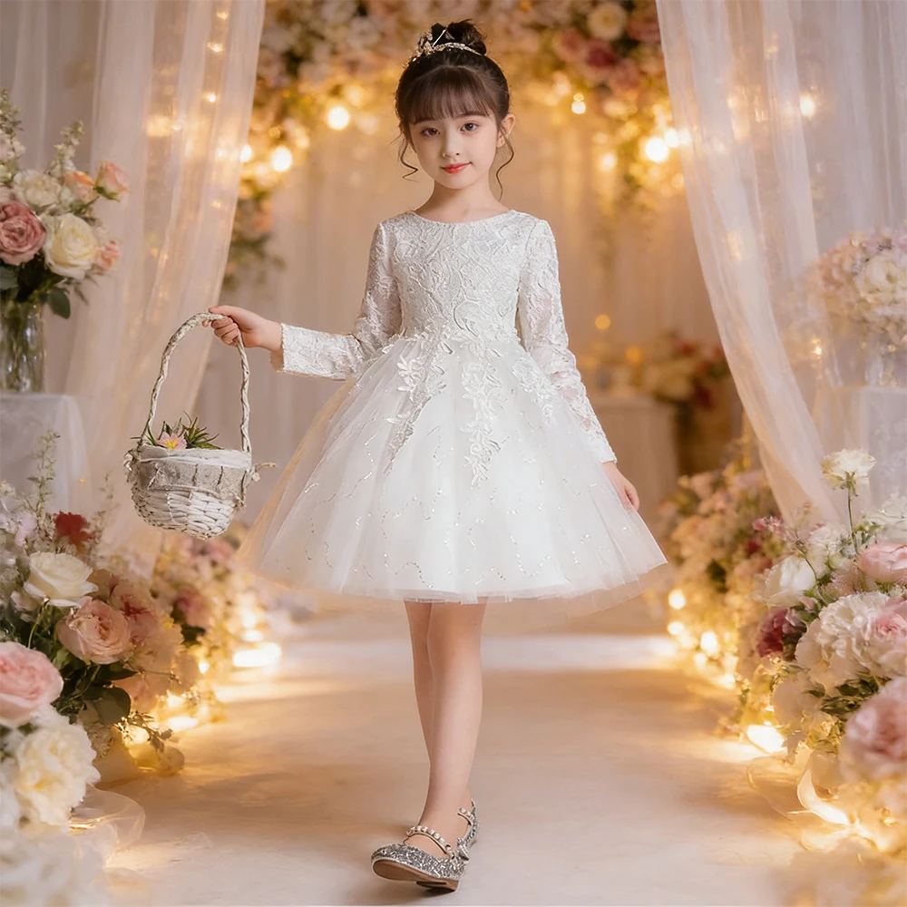 

Flower Girl Long Sleeve Wedding Dress Bridesmaid Costume White Dress for Girls Embroidery Mesh Evening Dress Birthday Dress