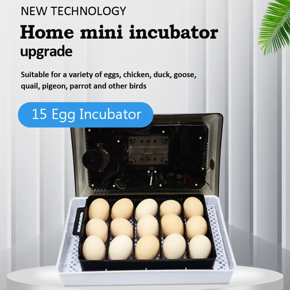 15 Eggs Automatic Incubator Household Hatcher with Precise Temperature Control for Chicken Duck Quail Goose Pigeon
