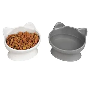 Cat Bowls