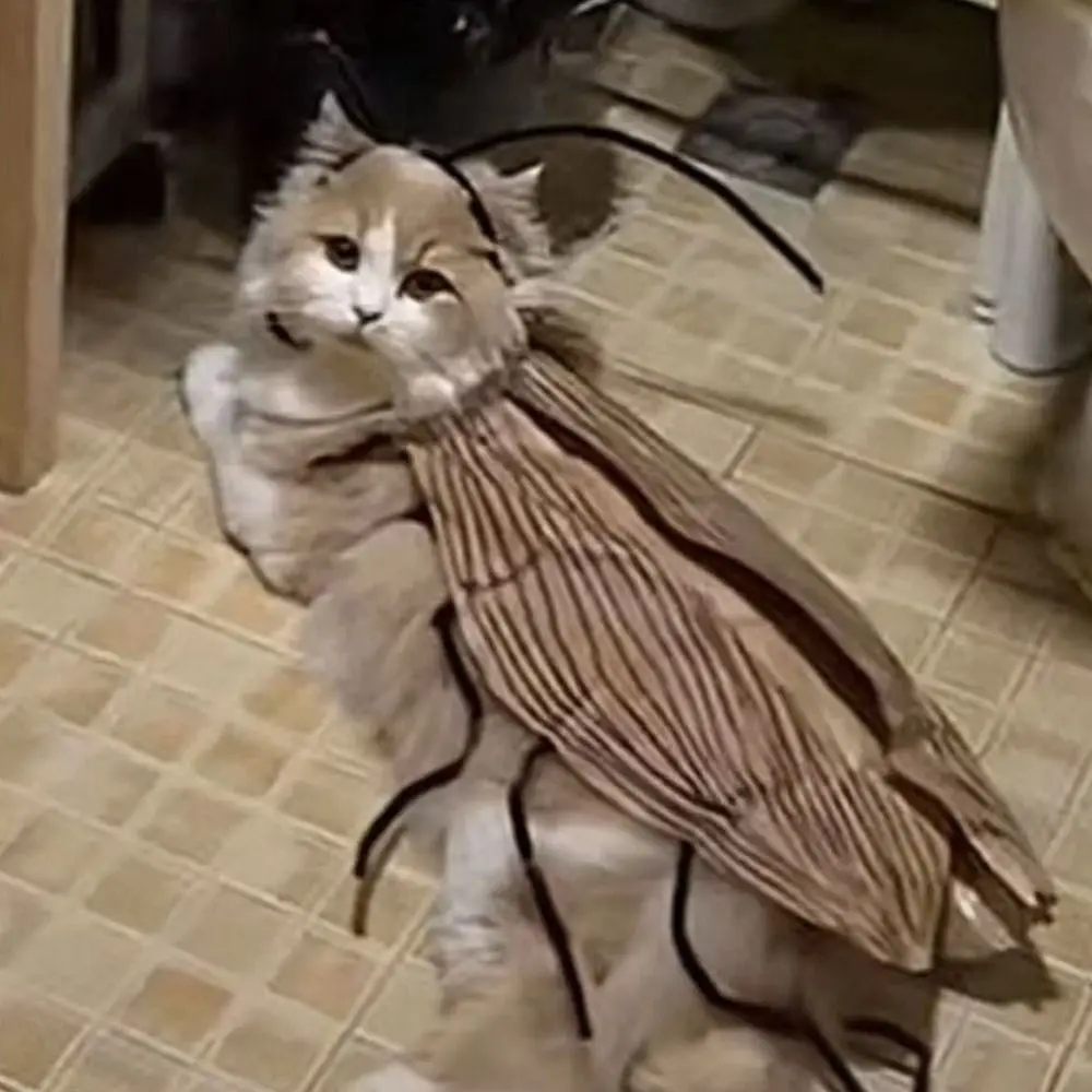 

Creative Cat Cosplay Cockroach Costume Cute Funny Cat Transformation Costume Unfinished with Cockroach Wings