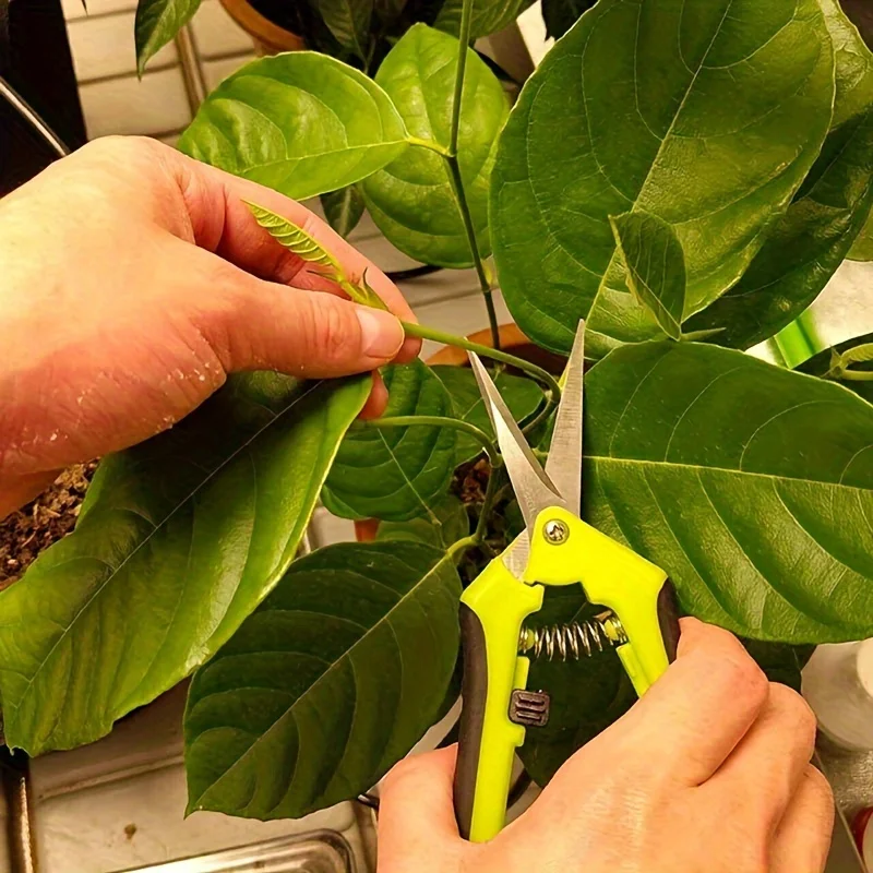 

Stainless Steel Scissors for Garden Pruning Anti Slip and Labor-saving Flower and Branch Pruning Fruit and Vegetable Pruning