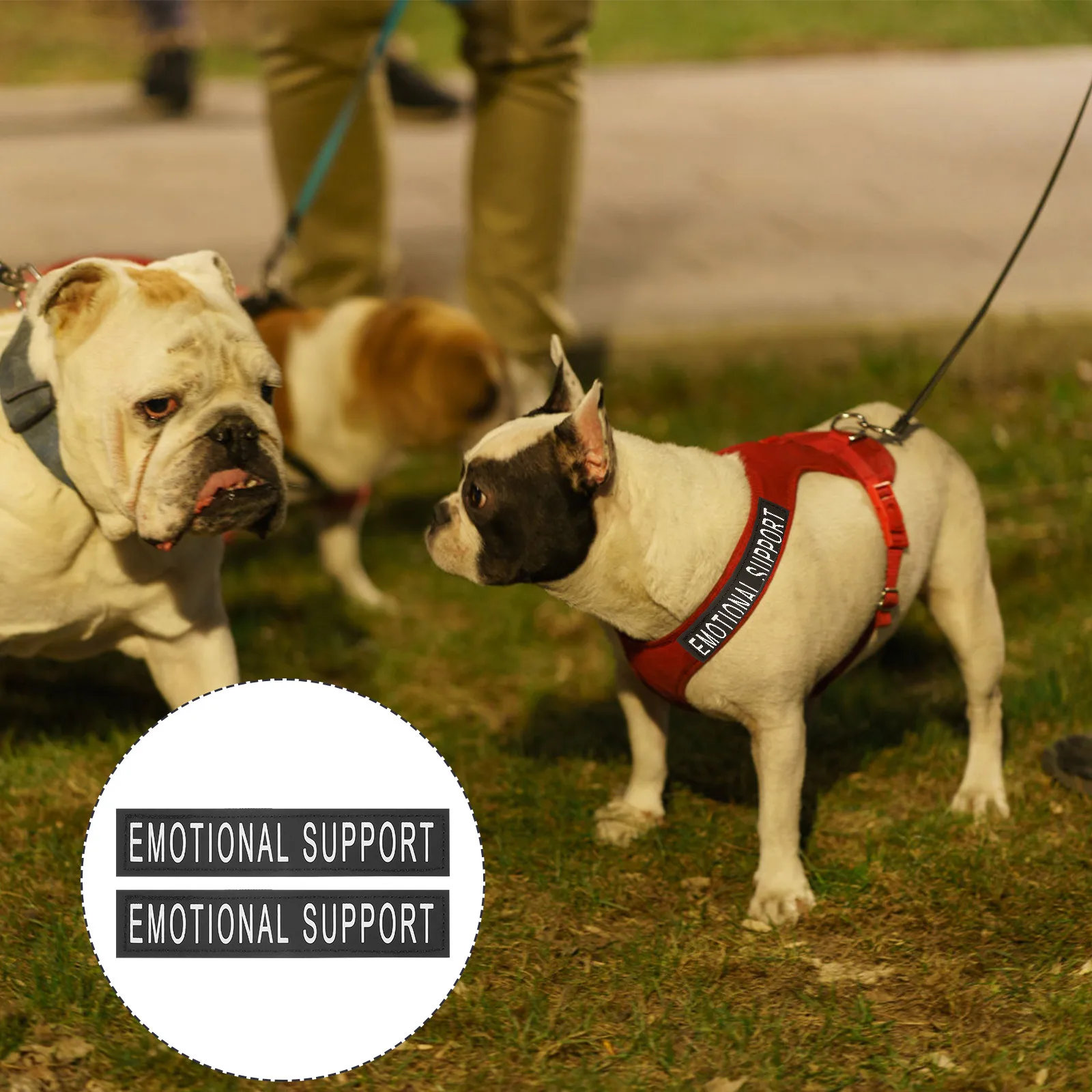 

Harness Patches Reflective Stickers For Dog Chest Strap Self-Adhesive Durable Pet Vest Patches Dog Clothes Decors Pet