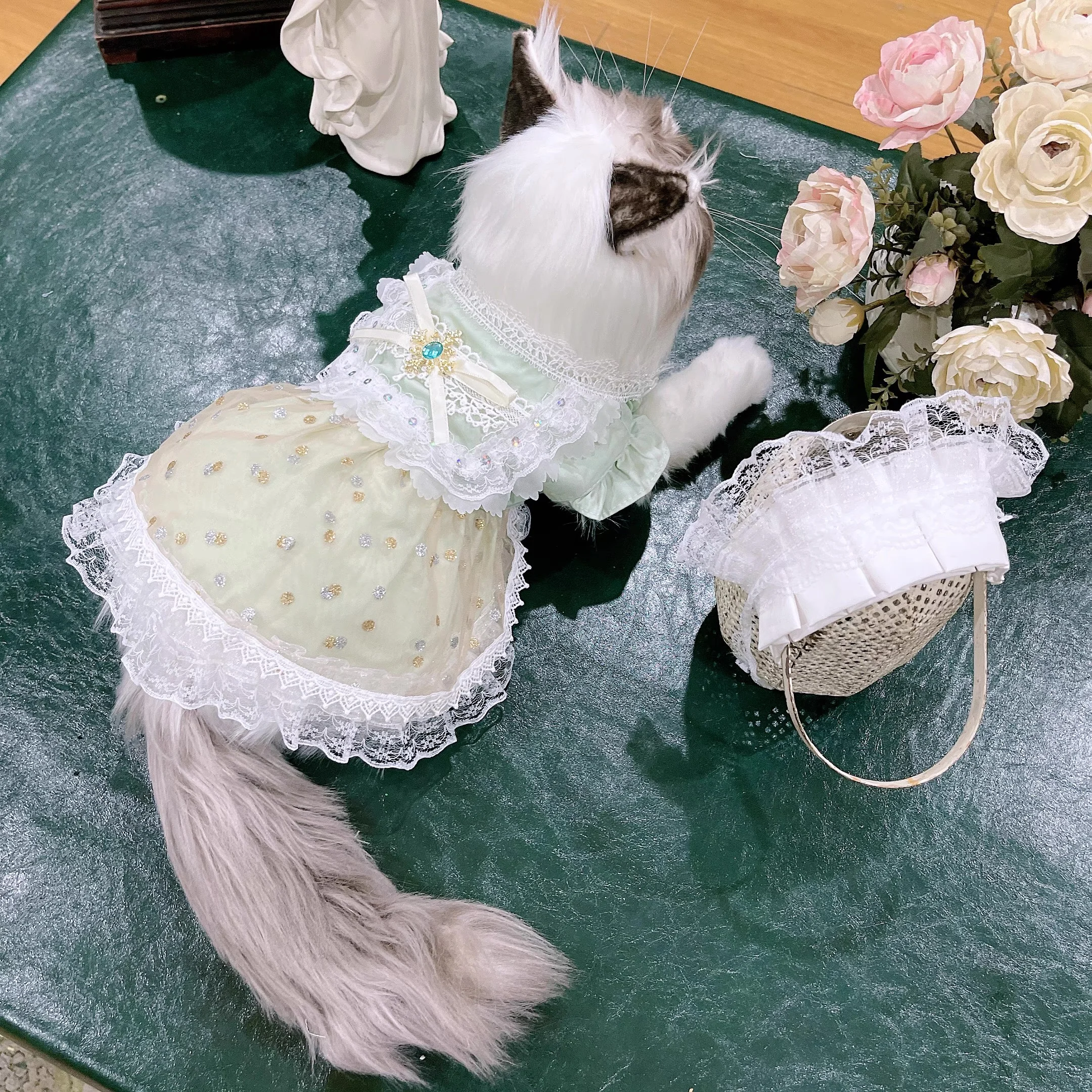 

New Handmade Green White Pet Dog Clothes Fashion Cotton Lace Bow Print Princess Dress For Small Medium Dog Poodle Dog's Clothing