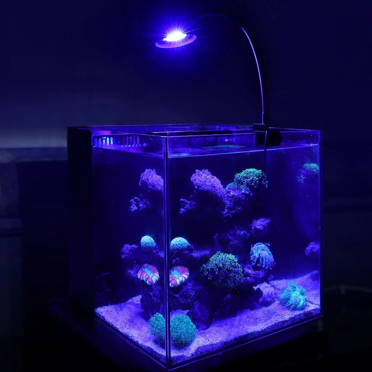 

30 Watts Aquarium LED Reef Light, Dimmable Full Spectrum Marine LED Fish Tank Light Saltwater Nano Aquarium LPS SPS Lighting
