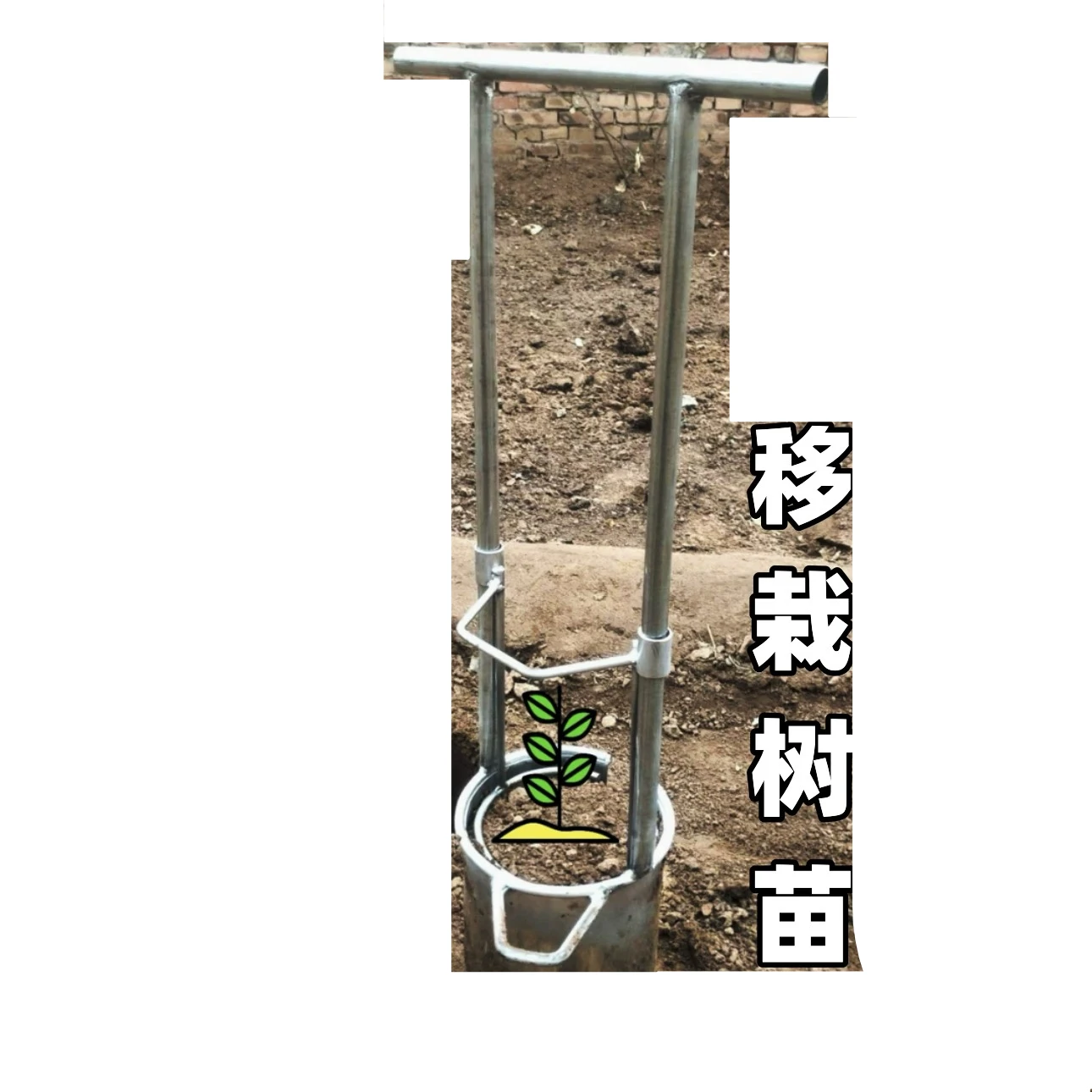Garden tool transplanter, hole punch, thickened white steel cylinder