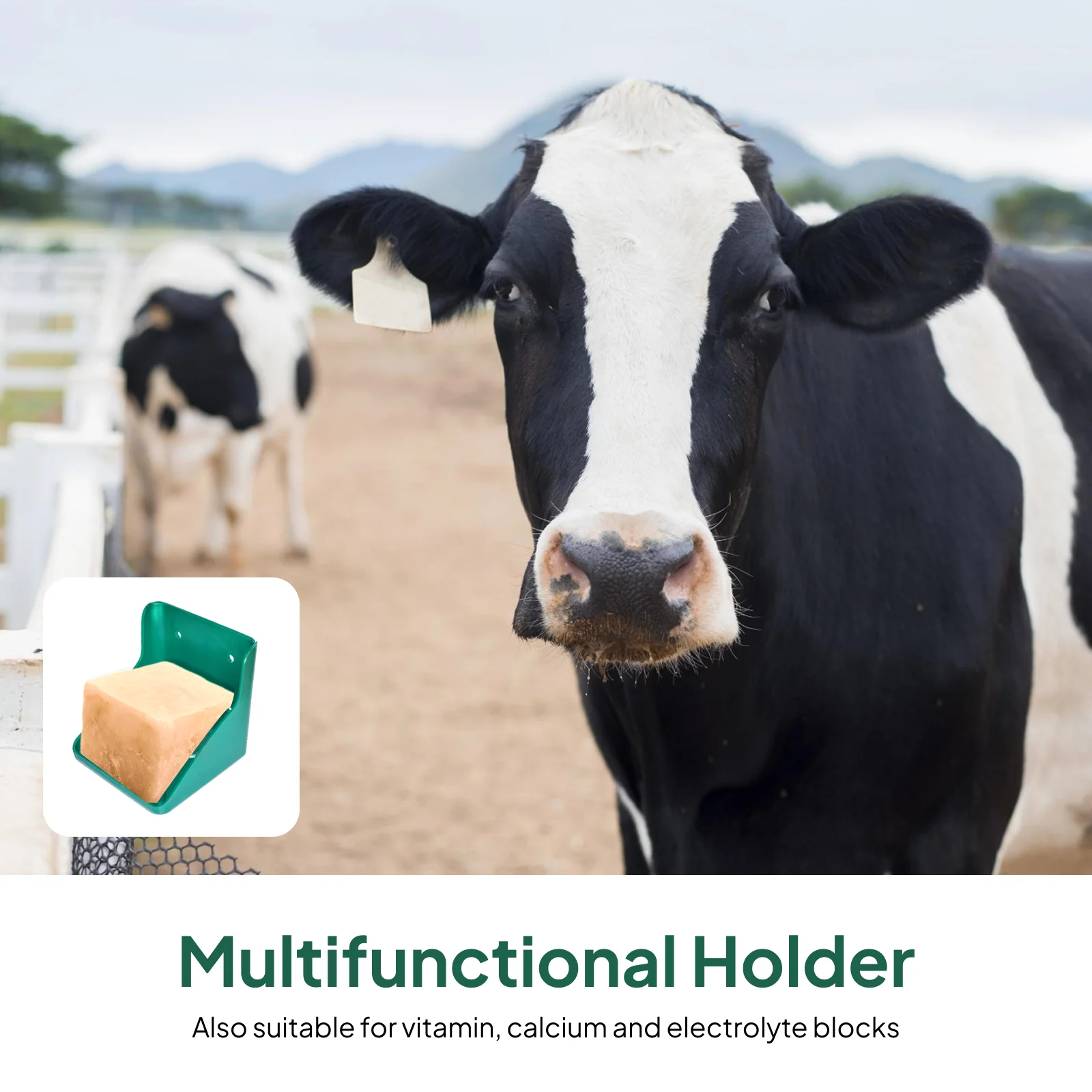 Sheep Salt Box Feeder for Cattle Goat Mineral Block Holder Farm Animal Licking Trough PP Durable Wall Mount Stall Fastener