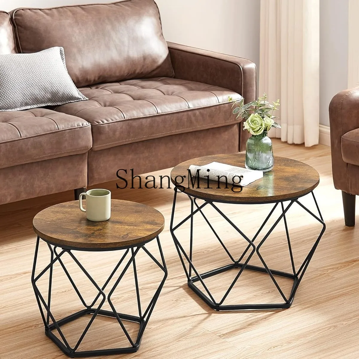 

CL Home Living Room Modern Minimalist Style Furniture Double-layer Dome Coffee Table with Storage Space Tea Table