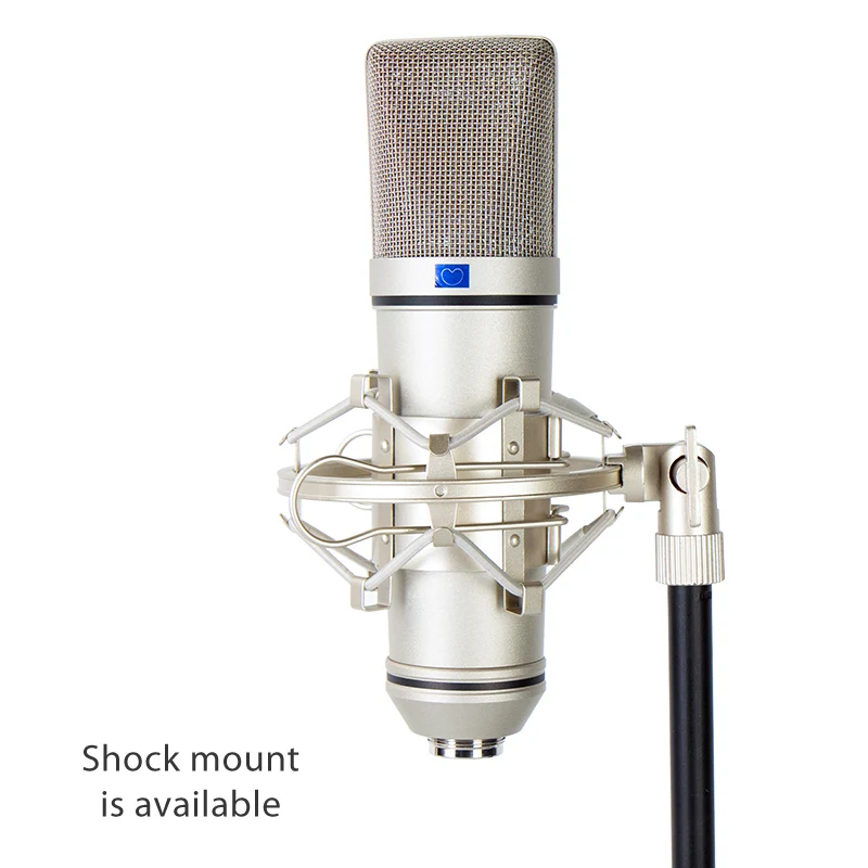 OEM Professional Large Diaphragm Metal Wired Singing Condenser Microphone For Studio Recording