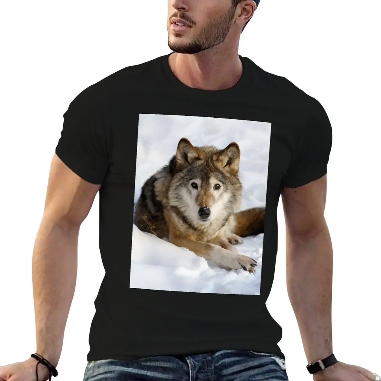 Wolf (canis lupus) portrait T-Shirt kawaii clothes summer tops shirts graphic plain mens graphic t-shirts anime