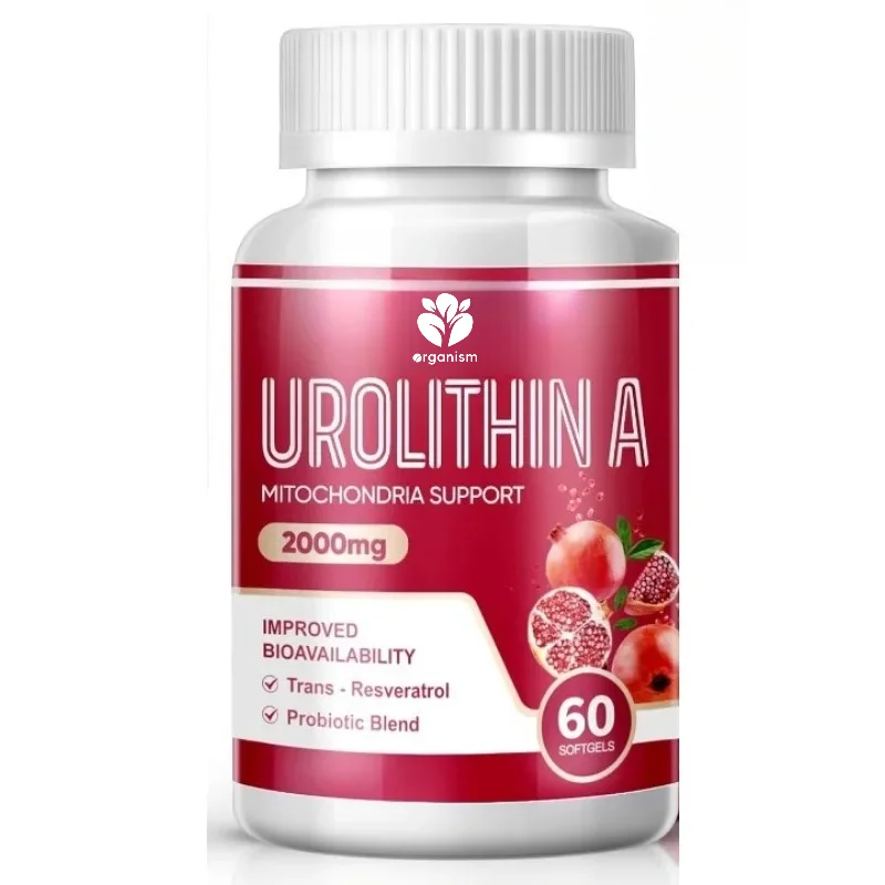 Urolithin A Supplement, 2,000mg for Healthy Aging, Antioxidants and Mitochondrial Support, 60 Softgels