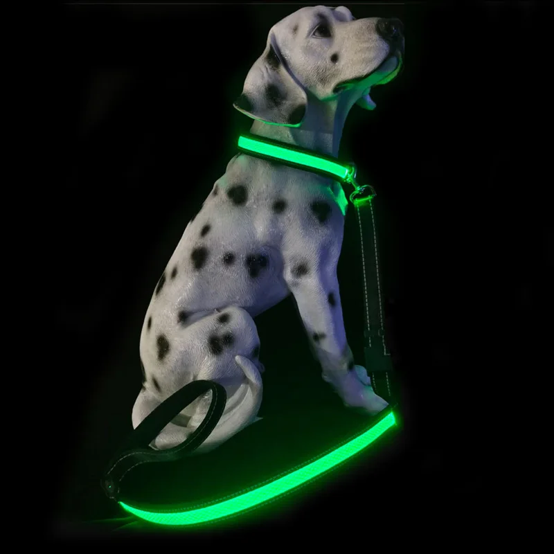 

LED Pet Light Collar Traction Rope USB Charging Retractable Portable Pet Collar Set Dog Supplies