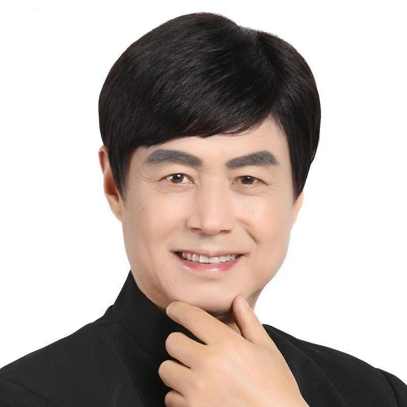 's short hair wig, realistic Korean , stylish natural, same style for middle-aged and elderly men