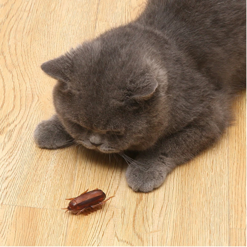 Battery-Powered Cockroach & Mouse Toy for Cats, Electronic Cockroach, Fun Cat Toy