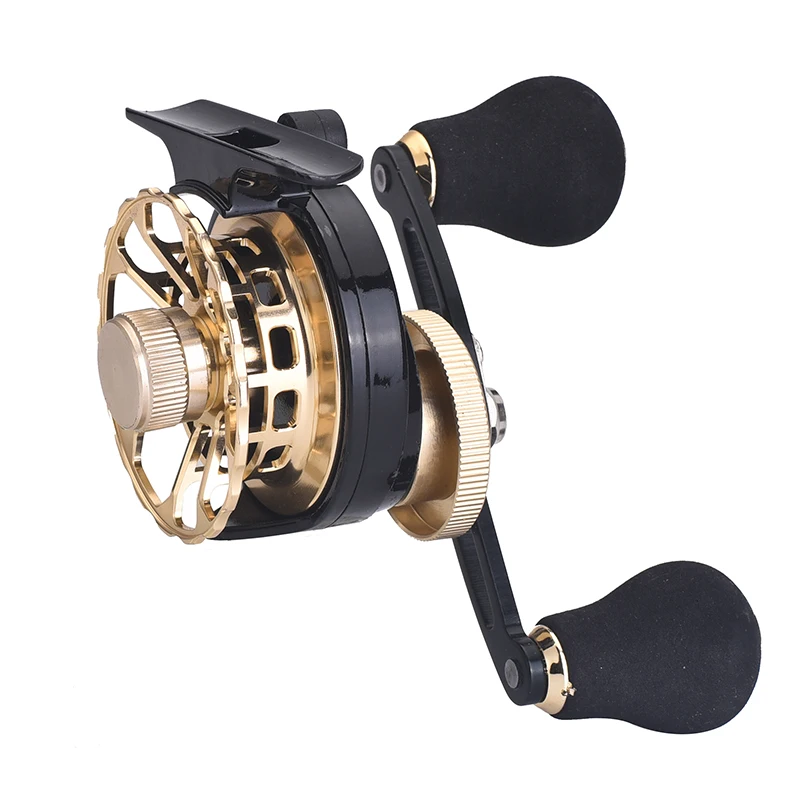 Lizard Mini Inertial Coil Fishing Reel Handle, 2 + 1 Bearing, Freshwater Fishing Equipment, 5kg Drag Carp