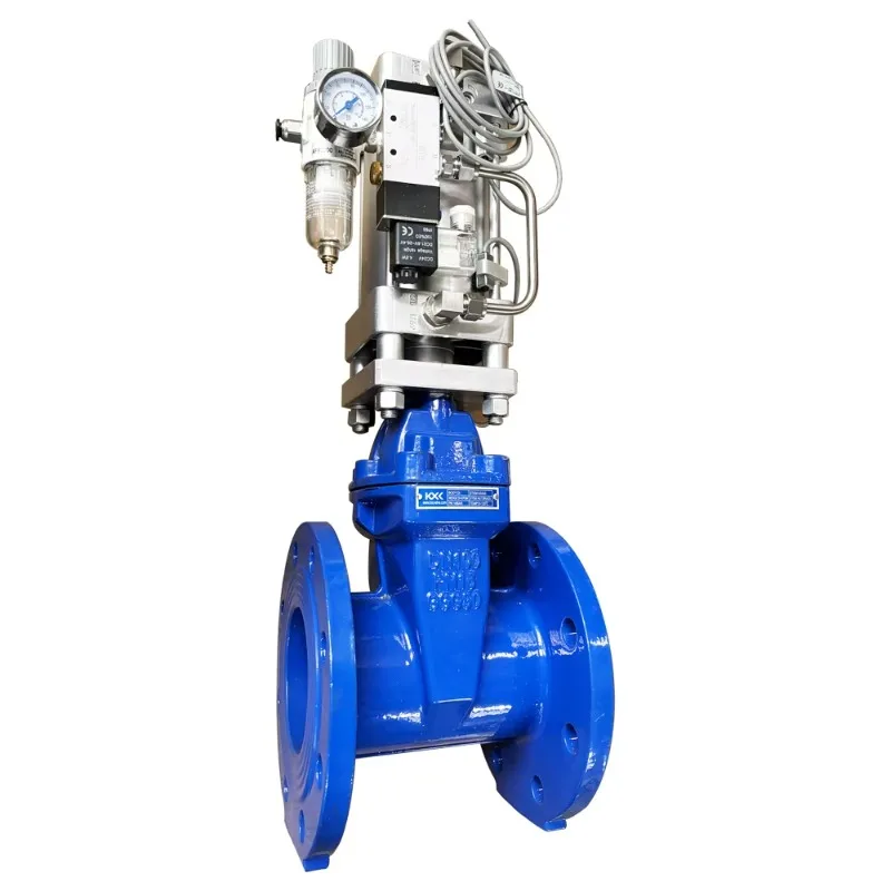 Katup Gerbang Dudukan Resilien Bersegel Lunak Aktuator Pneumatik Paduan Aluminium DIN3352 DIN3202 Tenaga Manual