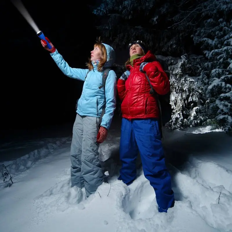 2 Pack LED Flashlights for Kids Outdoor Battery Powered Portable Bright Torch Emergency Light with Easy Push Button Switch