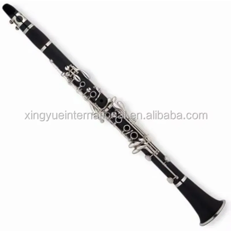 Professional Bb Clarinet for Beginners, Students, Band & Orchestra, Woodwind Instrument with Case, Mouthpiece, Reeds and Gloves.