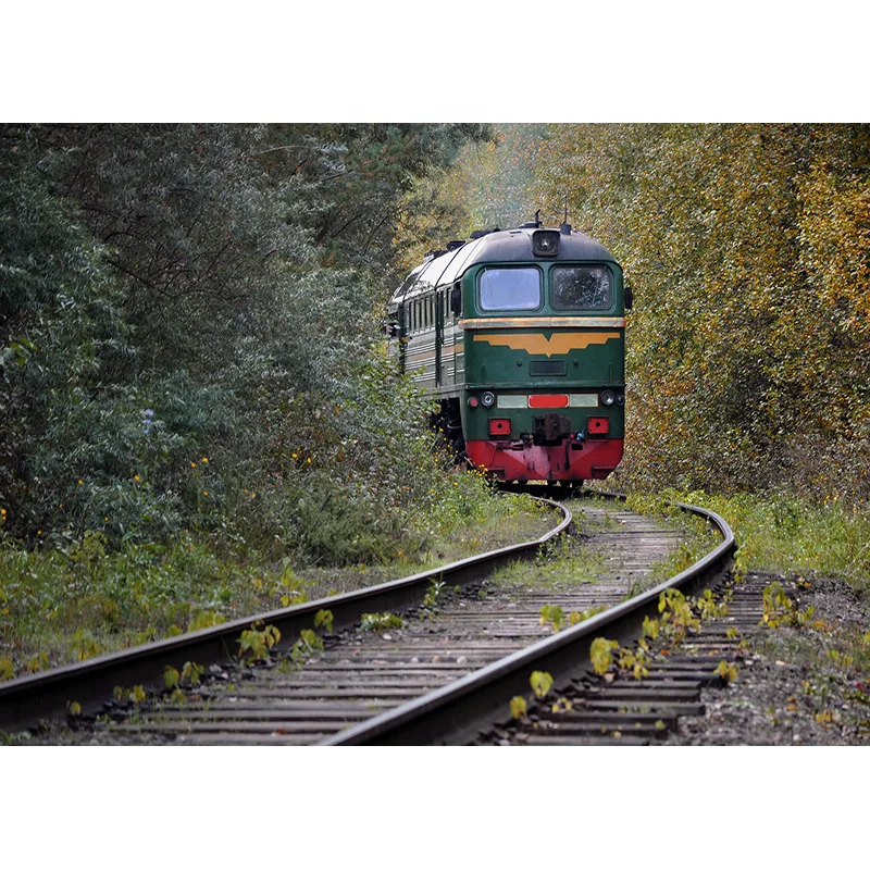 SHENGYONGBAO Art Fabric Train Track Landscape Photography background Portrait Photo Background Studio Props  211015 HCGD-02